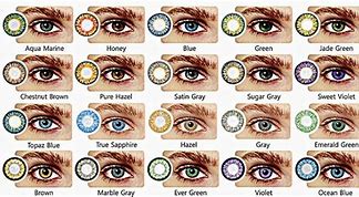 Image result for Human Brown Eye Color Chart