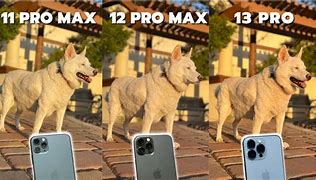 Image result for Better Camera Quality iPhone 11 or iPhone 13