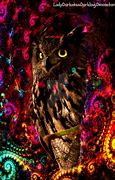 Image result for Trippy Owl Wallpaper