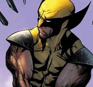 Image result for Wolverine Meme
