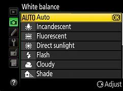 Image result for Galaxy S10 Camera White Balance