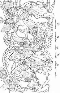 Image result for Avalon Web of Magic Coloring Pages