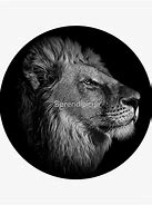 Image result for Lion Head Black Out Like