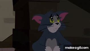 Image result for Tom and Jerry Cat Meme Face