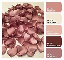 Image result for Rose Gold Paint Color Sherwin-Williams