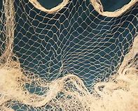 Image result for Fish Netting by the Yard