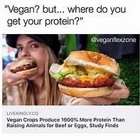 Image result for Vegan Quotes Meme