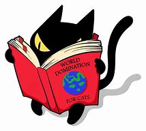 Image result for Black Cat Reading Meme