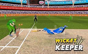 Image result for 2D Wicketkeeper