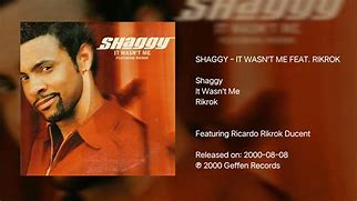 Image result for Wasn't Me Song