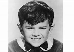 Image result for Butch Patrick Child Actor