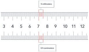 Image result for Decimeter Ruler Printable