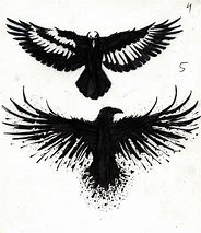 Image result for Black Crow Tattoo Drawings