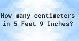 Image result for 5 Foot 9 Inches in Cm