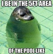 Image result for Working From Pool Meme