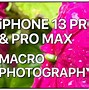 Image result for Pics Took with iPhone 6