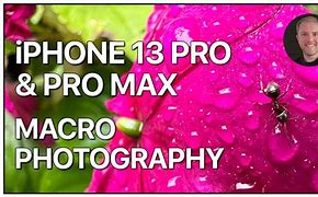 Image result for iPhone 13 Pro Max Macro Camera