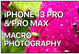 Image result for Macro Lens iPhone