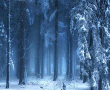Image result for Frozen Forest 4K Wallpaper