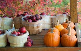 Image result for Fall Apple's in a Row