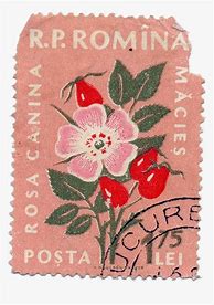 Image result for Vintage Stamp Clip Art