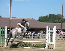 Image result for 4-H Horse Poster Ideas