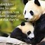 Image result for Fox Quotes Animal