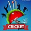 Image result for Cricket Auction Poster Maker