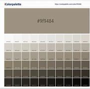 Image result for Gray vs Stone Gray Color