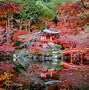 Image result for Cherry Blossom Season End in Japan