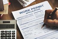 Image result for Ireland Work Permit Form