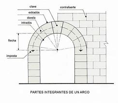 Image result for Parte Del Arco En Coque