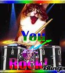 Image result for You Rock Cat Meme