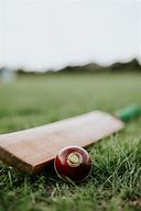 Image result for Cricket 4 Sign