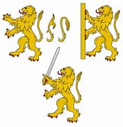 Image result for Lion Rampant Family Crest