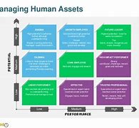 Image result for Human Asset Management