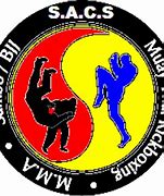 Image result for Combat Sports Logo