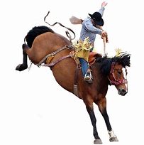 Image result for Rodeo Cowboy Bucking Horse
