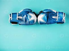 Image result for Pair of Boxing Gloves