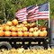Image result for Pumpkin Patch Nearby