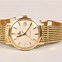 Image result for Men's Gold Watch