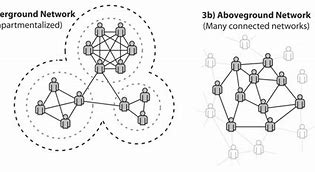 Image result for Network Org Chart