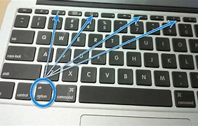 Image result for What Is the Option Button On Keyboard