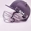 Image result for Children's Cricket Helmet