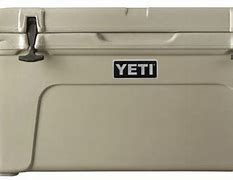 Image result for Yeti Cooler Bag