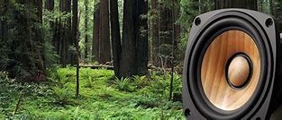 Image result for Wood Cone Speakers