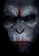 Image result for Caesar Planet of the Apes Face