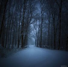 Image result for Gothic Winter Landscape