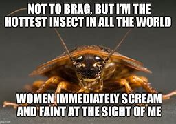 Image result for Cockroach in Bed Meme