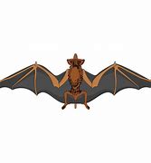 Image result for Bat Wings Clip Art